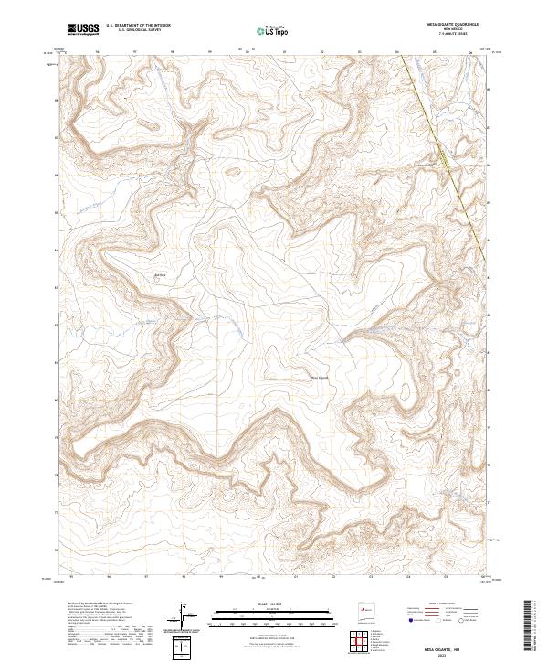 US Topo 7.5-minute map for Mesa Gigante NM