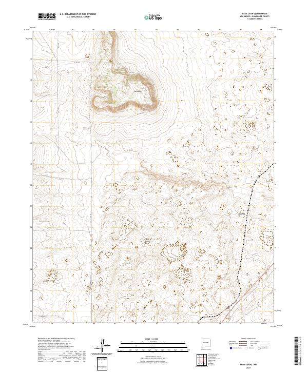 US Topo 7.5-minute map for Mesa Leon NM