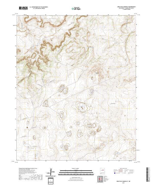 US Topo 7.5-minute map for Mesa Palo Amarillo NM
