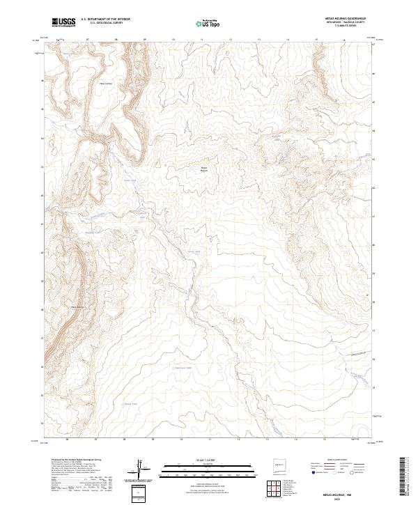 US Topo 7.5-minute map for Mesas Mojinas NM