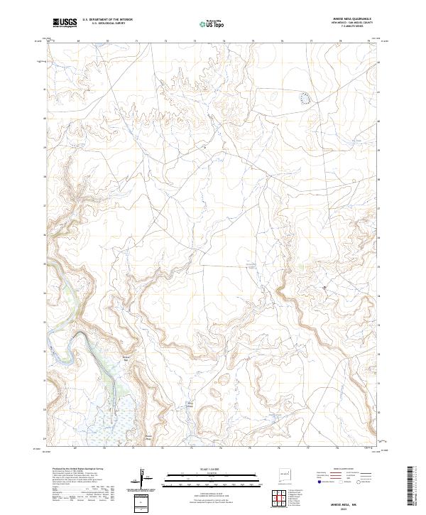 US Topo 7.5-minute map for Minese Mesa NM