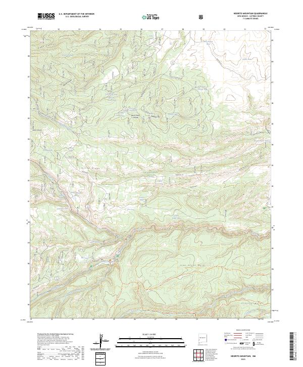 US Topo 7.5-minute map for Negrito Mountain NM
