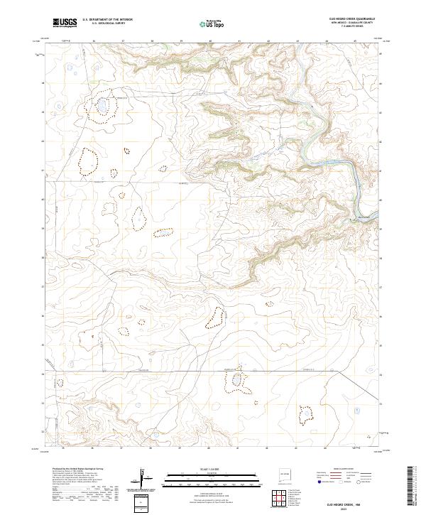 US Topo 7.5-minute map for Ojo Negro Creek NM
