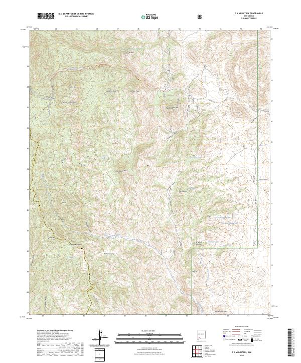 US Topo 7.5-minute map for P A Mountain NM