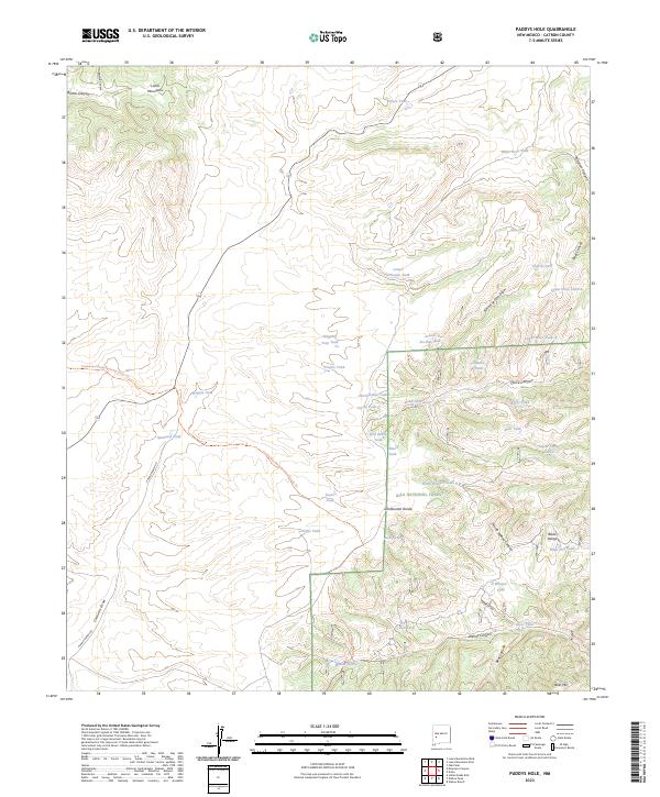 US Topo 7.5-minute map for Paddys Hole NM