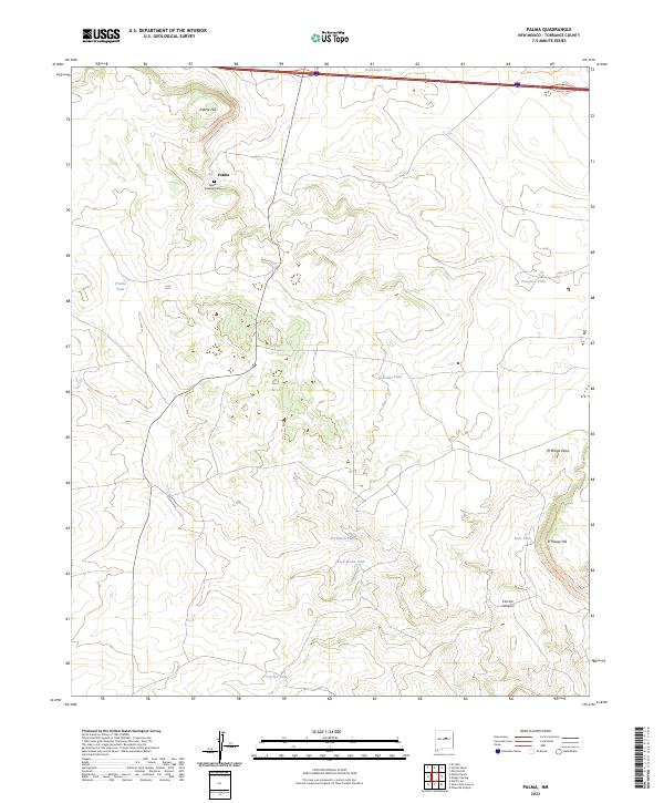US Topo 7.5-minute map for Palma NM