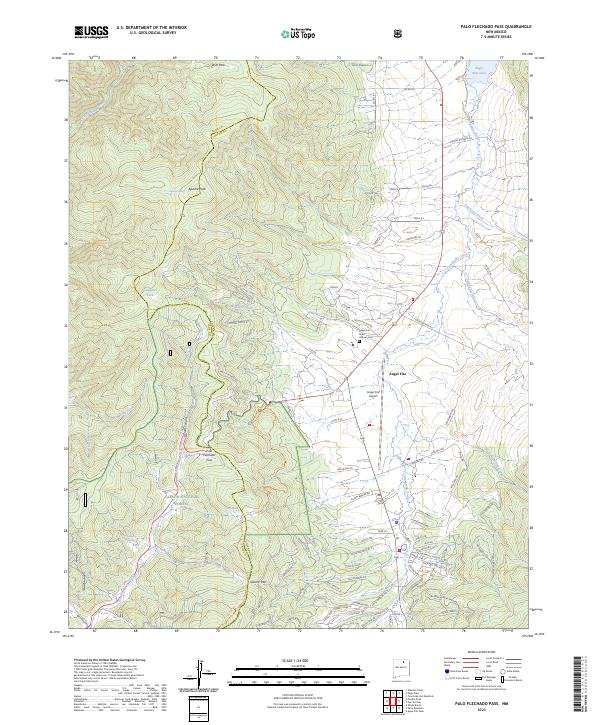 US Topo 7.5-minute map for Palo Flechado Pass NM