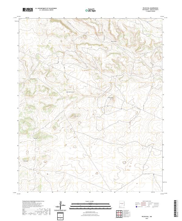 US Topo 7.5-minute map for Pelon Hill NM
