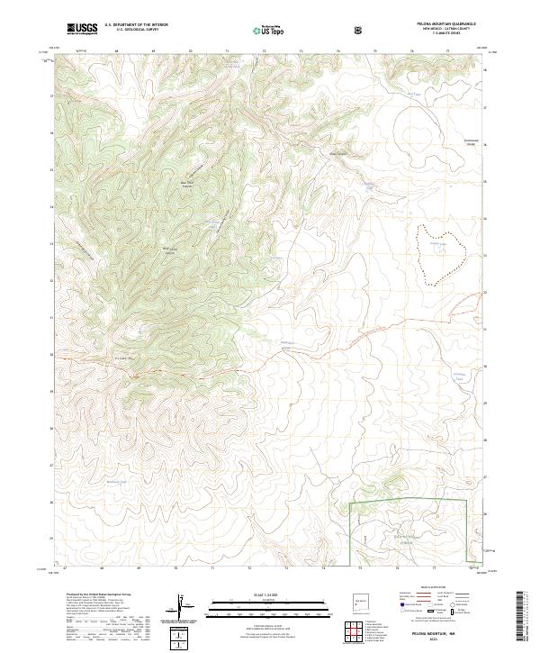 US Topo 7.5-minute map for Pelona Mountain NM