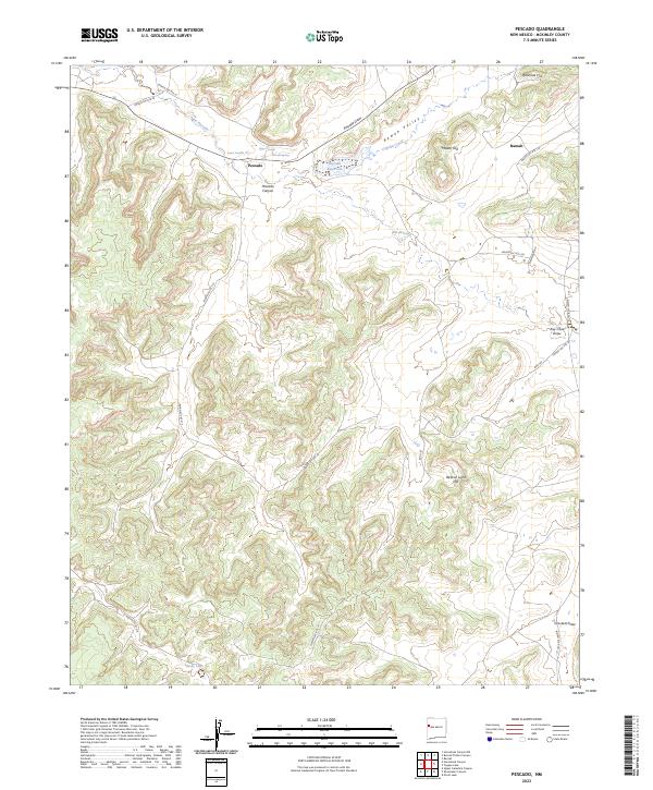 US Topo 7.5-minute map for Pescado NM
