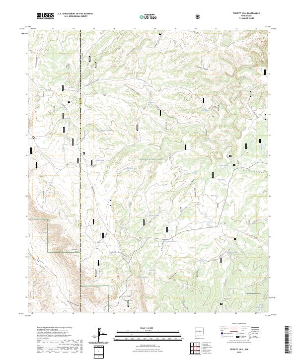 US Topo 7.5-minute map for Pickett Hill NM