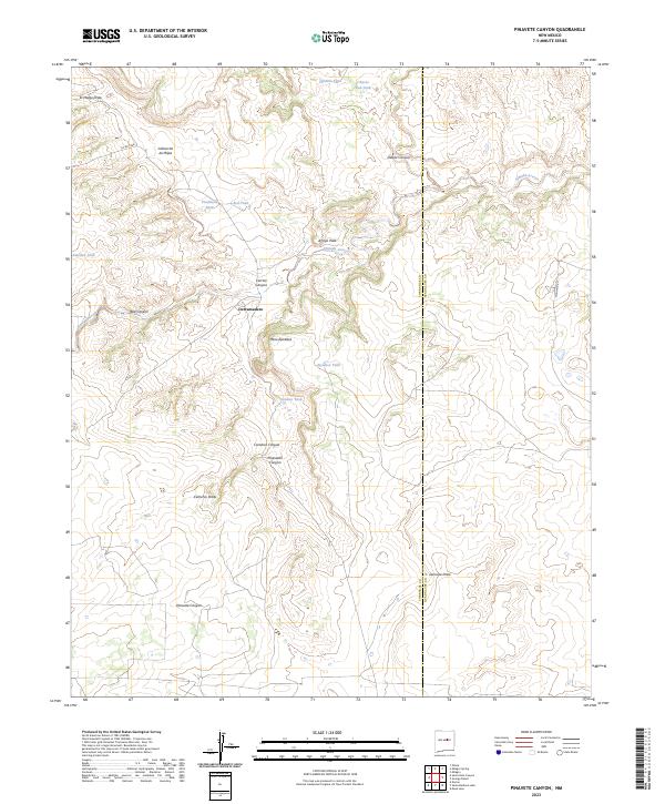 US Topo 7.5-minute map for Pinavete Canyon NM