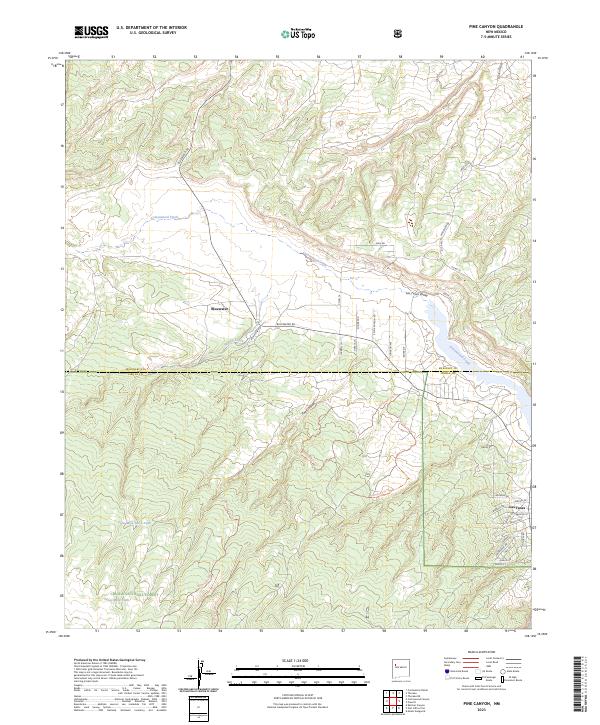 US Topo 7.5-minute map for Pine Canyon NM