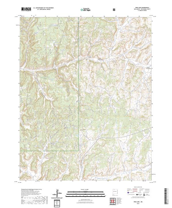 US Topo 7.5-minute map for Pine Lake NM