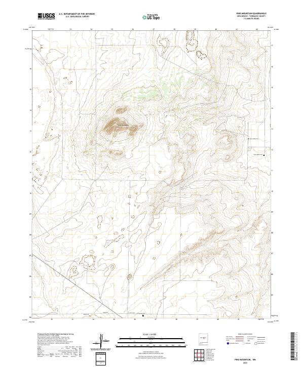 US Topo 7.5-minute map for Pino Mountain NM