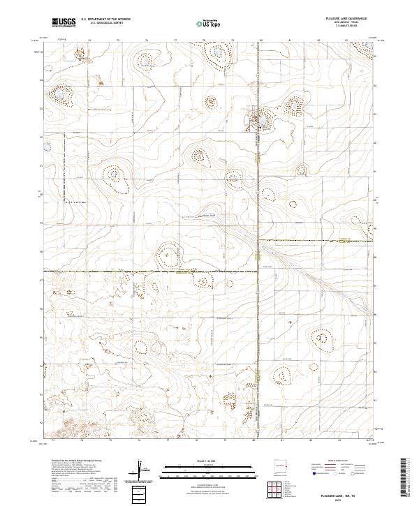 US Topo 7.5-minute map for Pleasure Lake NMTX