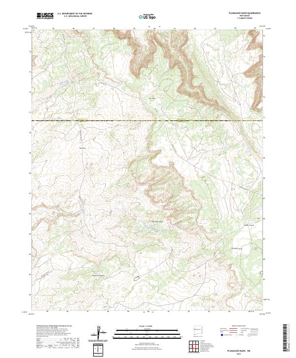 US Topo 7.5-minute map for Plumasano Basin NM