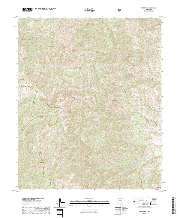 US Topo 7.5-minute map for Reeds Peak NM