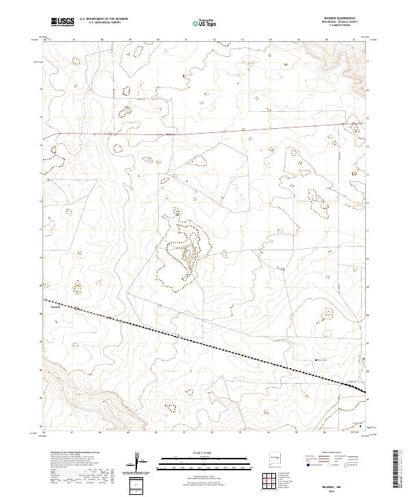 US Topo 7.5-minute map for Ricardo NM