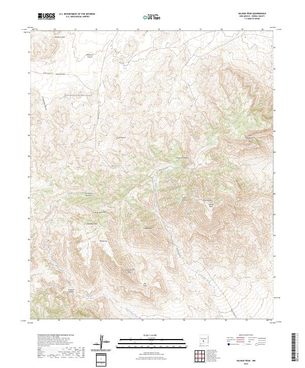 US Topo 7.5-minute map for Salinas Peak NM