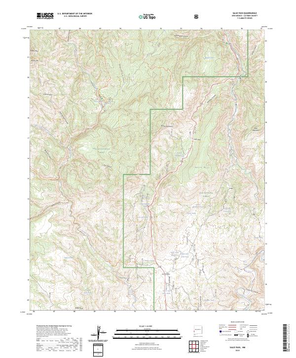 US Topo 7.5-minute map for Saliz Pass NM