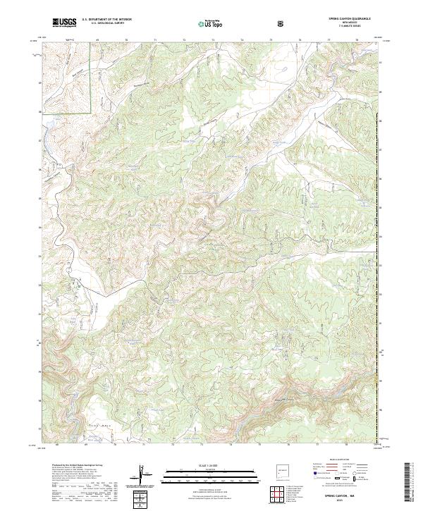 US Topo 7.5-minute map for Spring Canyon NM