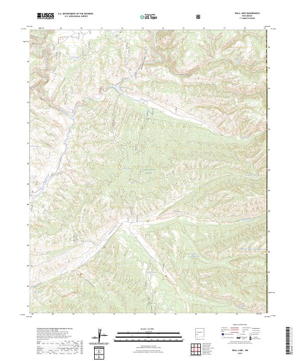 US Topo 7.5-minute map for Wall Lake NM