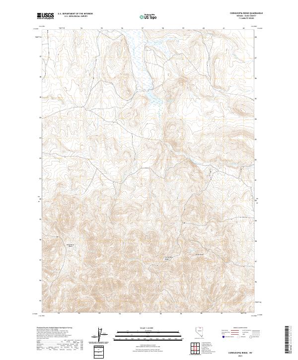 US Topo 7.5-minute map for Cornucopia Ridge NV