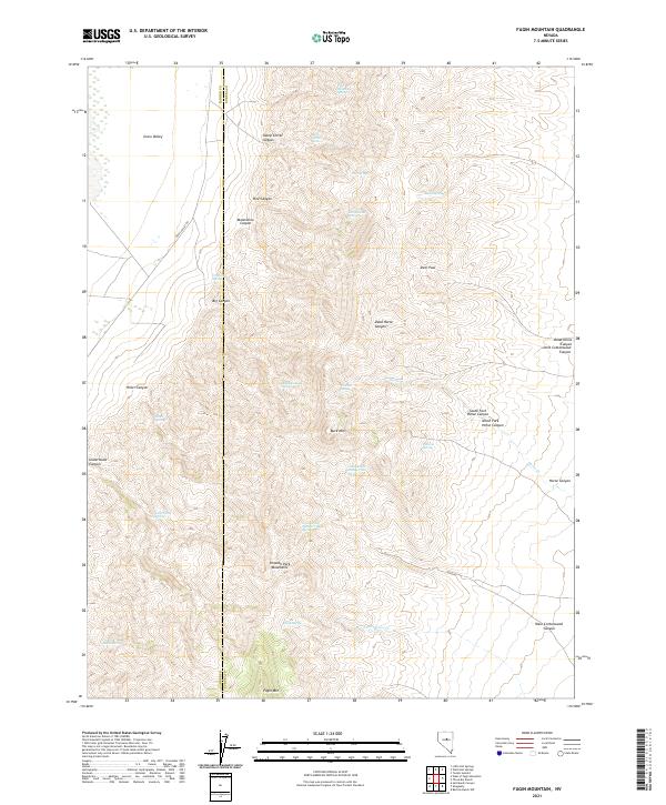 US Topo 7.5-minute map for Fagin Mountain NV