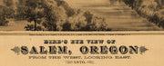 Bird's Eye View of Salem, Oregon - 1876