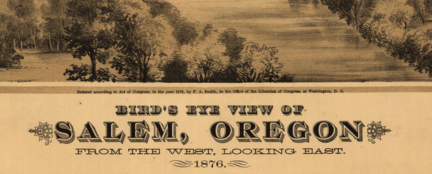 Bird's Eye View of Salem, Oregon - 1876