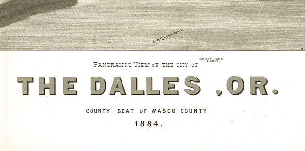 Bird's Eye View of The Dalles, OR. - 1884