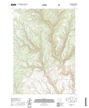 US Topo 7.5-minute map for Buck Spring OR