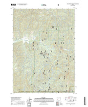 US Topo 7.5-minute map for Cedar Springs Mountain OR