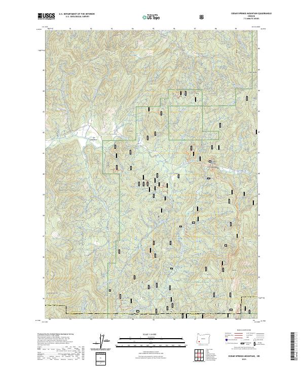 US Topo 7.5-minute map for Cedar Springs Mountain OR