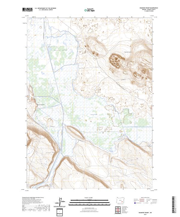 US Topo 7.5-minute map for Diamond Swamp OR
