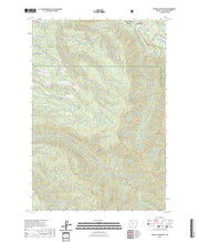US Topo 7.5-minute map for Wildcat Mountain OR