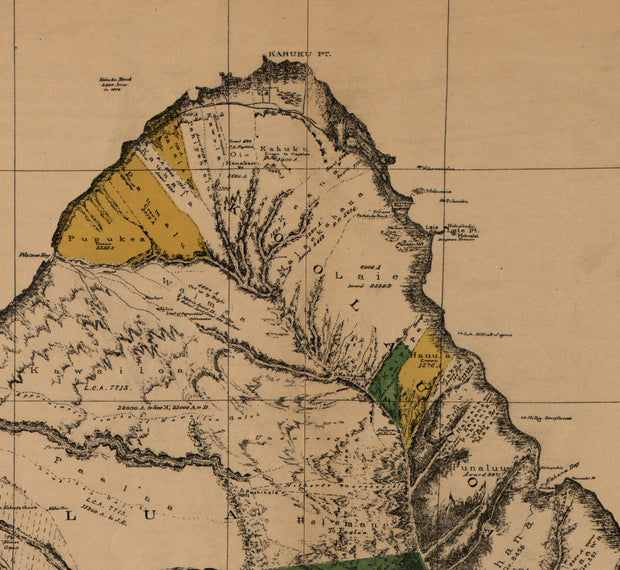 Oahu, Hawaiian Islands, 1881