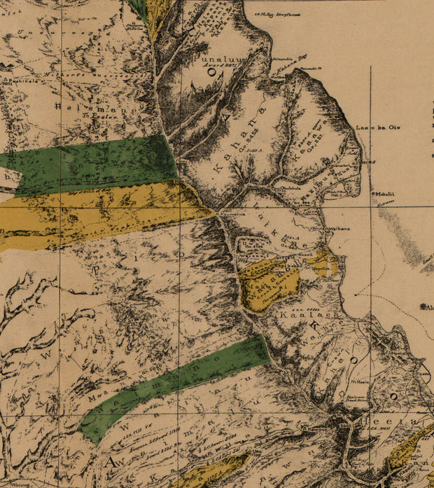 Oahu, Hawaiian Islands, 1881