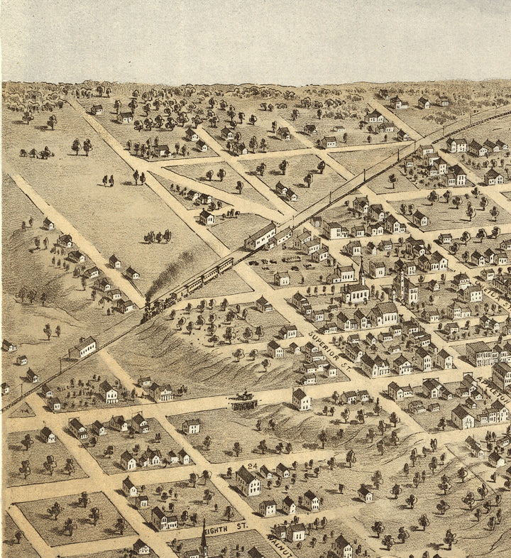Bird&