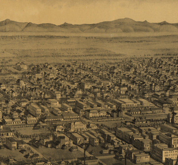 Bird's Eye View of Billings, Montana, 1904