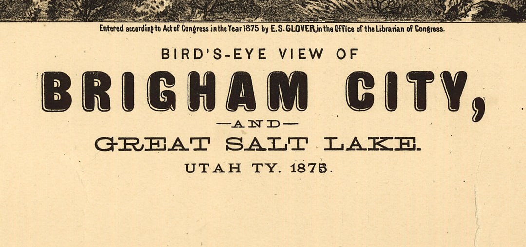 Bird&