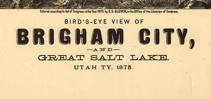 Bird&