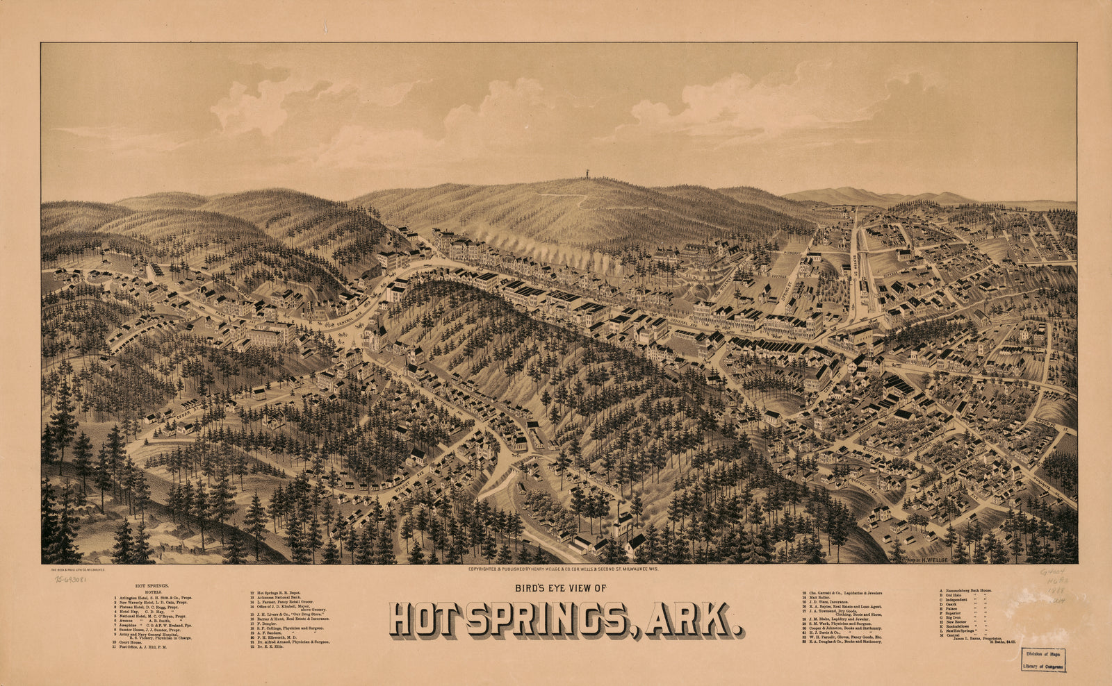 Bird's Eye View of Hot Springs Arkansas, 1888