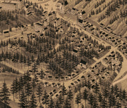 Bird's Eye View of Hot Springs Arkansas, 1888