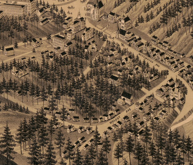 Bird's Eye View of Hot Springs Arkansas, 1888