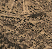 Bird's Eye View of Hot Springs Arkansas, 1888