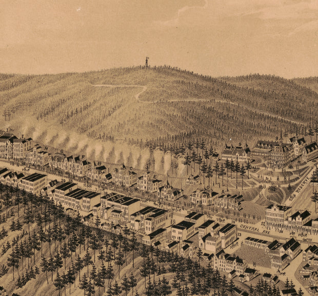 Bird's Eye View of Hot Springs Arkansas, 1888