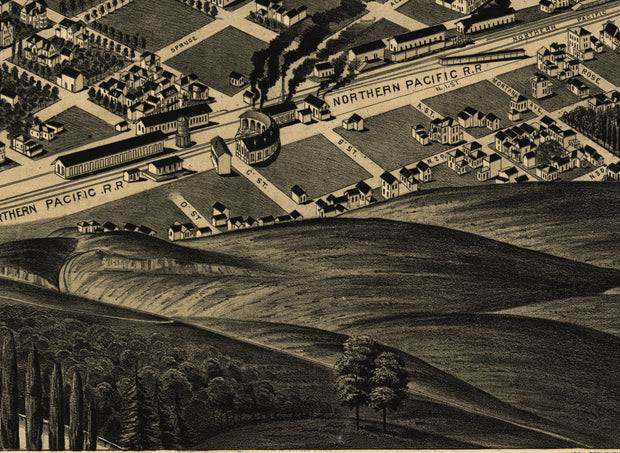 Perspective Map of Missoula, Montana, 1891