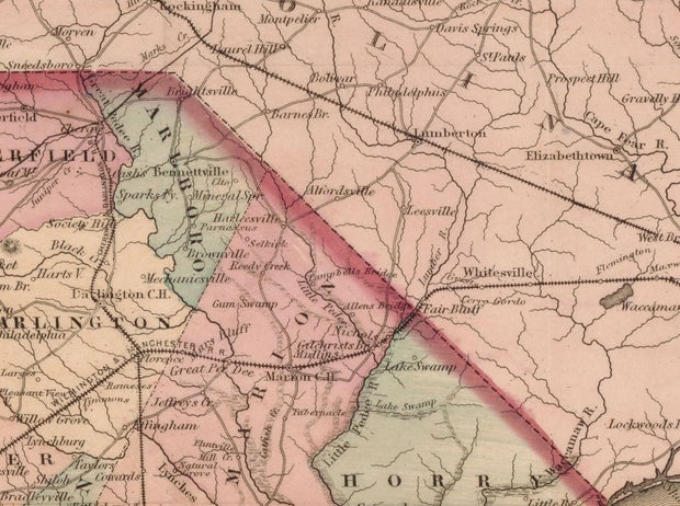 Colton's Map of South Carolina, 1876